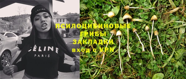 МДПВ Абаза