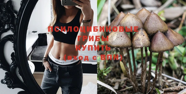 МДПВ Абаза