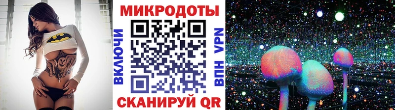 Псилоцибиновые грибы Cubensis Татарск